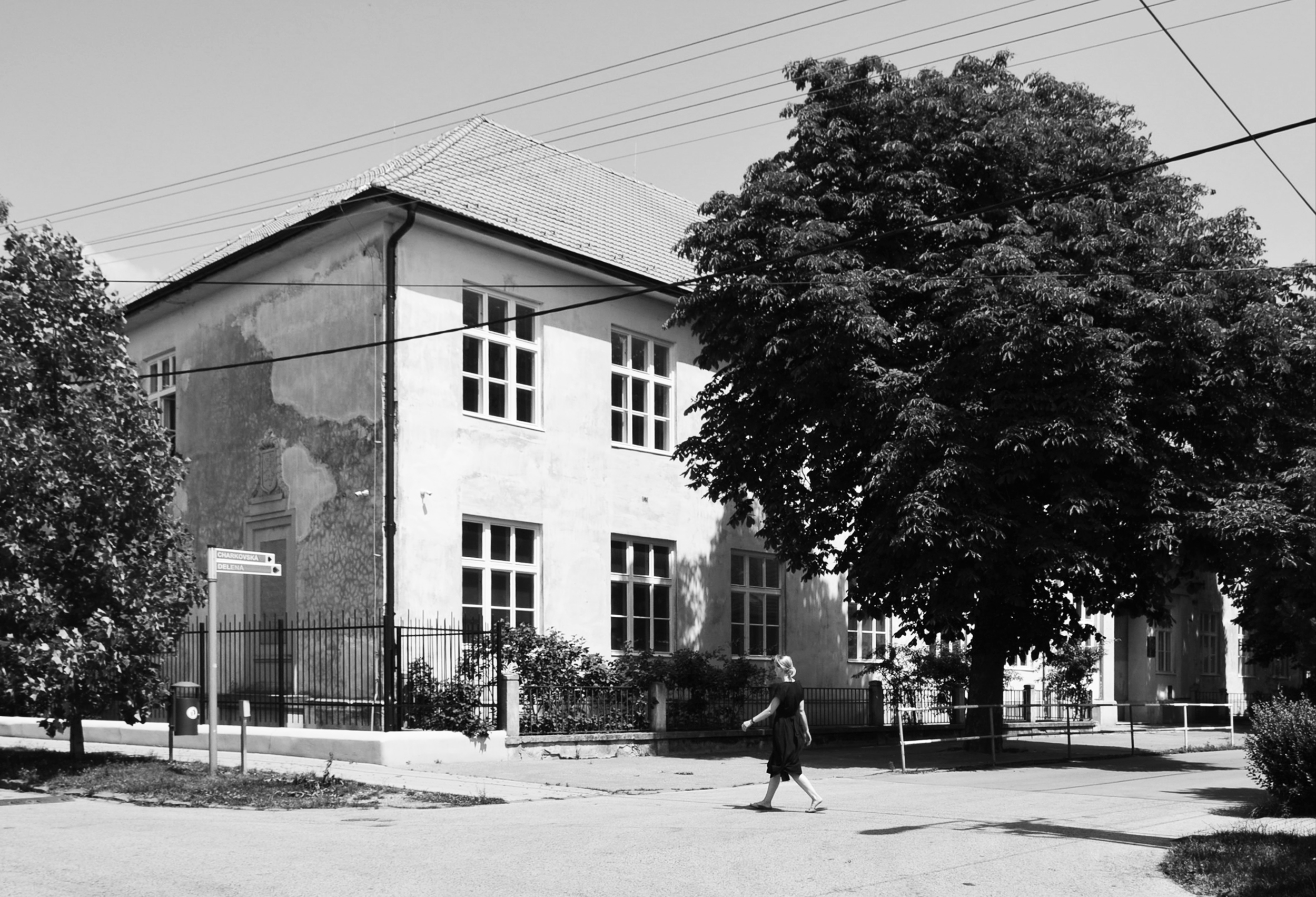 škola