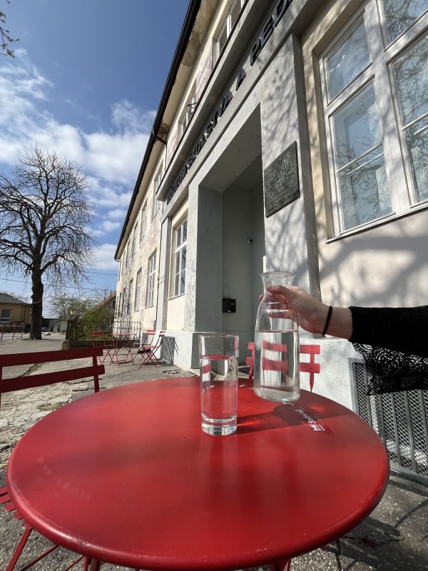 PROJEKT SADNI SI UŽ AJ U NÁS